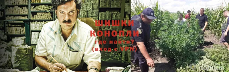 Бошки марихуана Ganja  omg ONION  нарко площадка какой сайт  Грязовец 